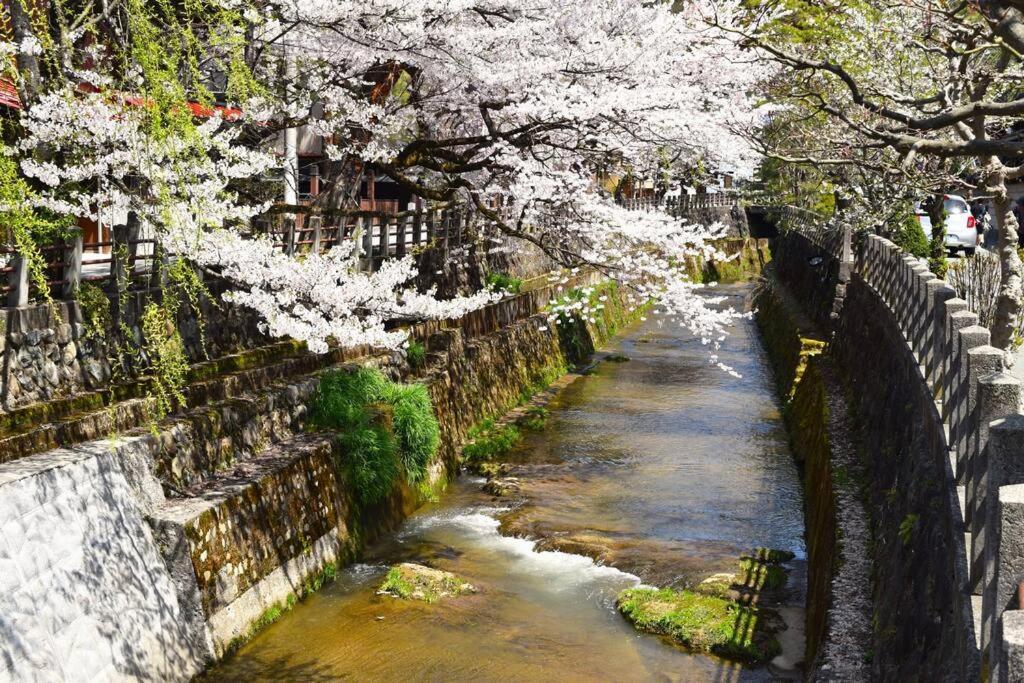 Komorebi/こもれび Takayama  Exteriör bild